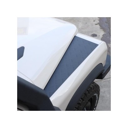 PROTECTIONS AILES INEOS...