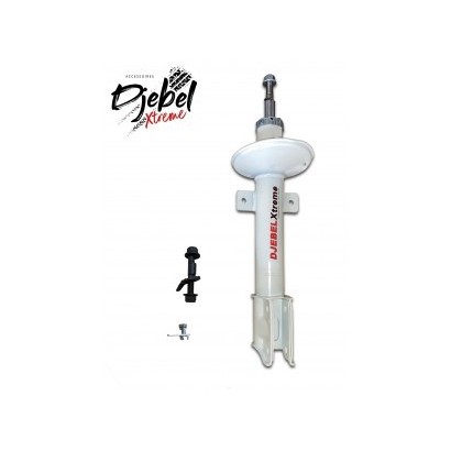 AMORTISSEUR ARRIÈRE...