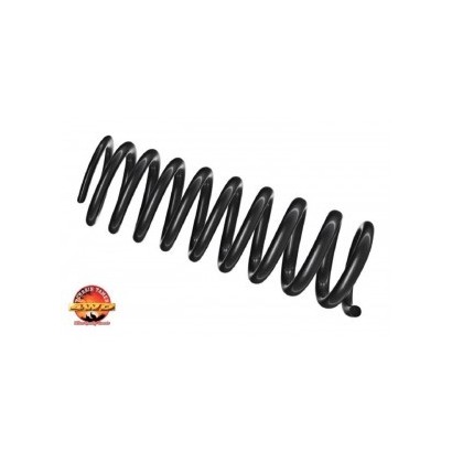 RESSORTS ARRIERES REHAUSSE...