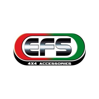 FLEXIBLE DE FREIN EFS AV...