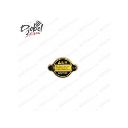 BOUCHON DE RADIATEUR 0.9...