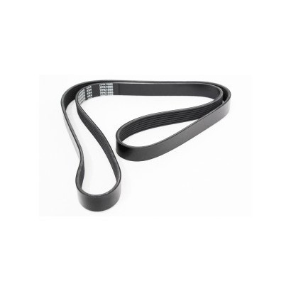 COURROIE POLY V 300TDI