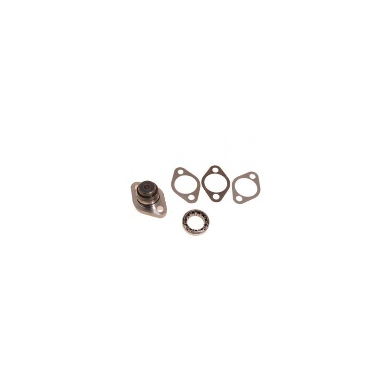 KIT REPARATION PIVOT SANS ABS