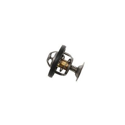 THERMOSTAT 300 TDI