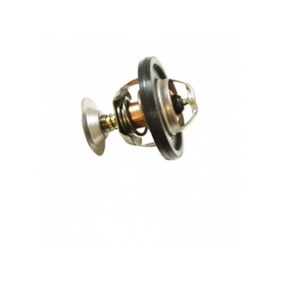 THERMOSTAT 300 TDI OEM