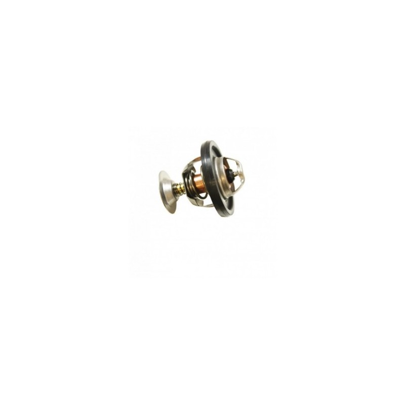 THERMOSTAT 300 TDI OEM