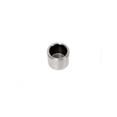 PISTON ETRIER DE FREIN AV