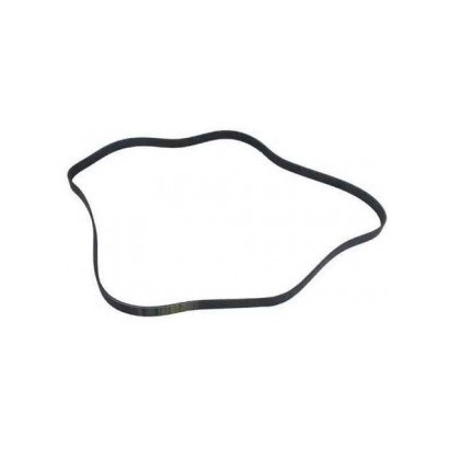 COURROIE POLY V V8 3.9L