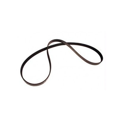 COURROIE POLY V V8 3.9L