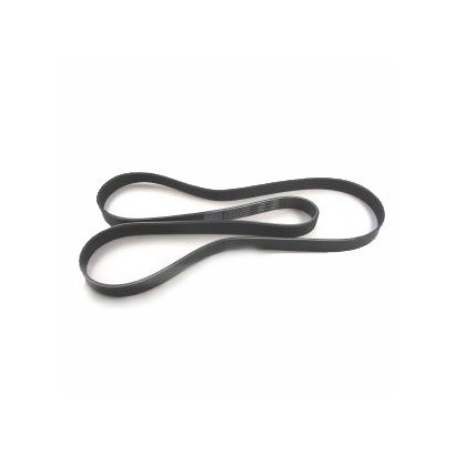 COURROIE POLY V SANS ACE...