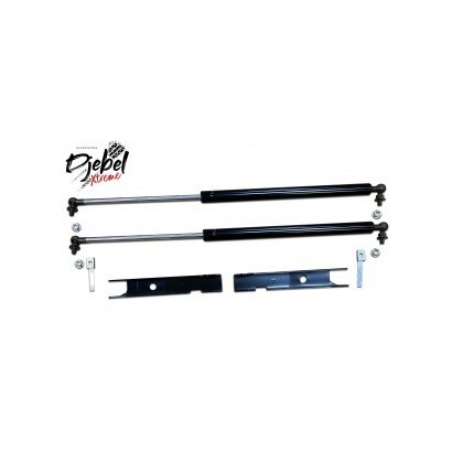 KIT ASSISTANCE VERINS CAPOT...