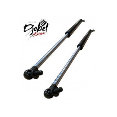 KIT ASSISTANCE VERINS CAPOT...