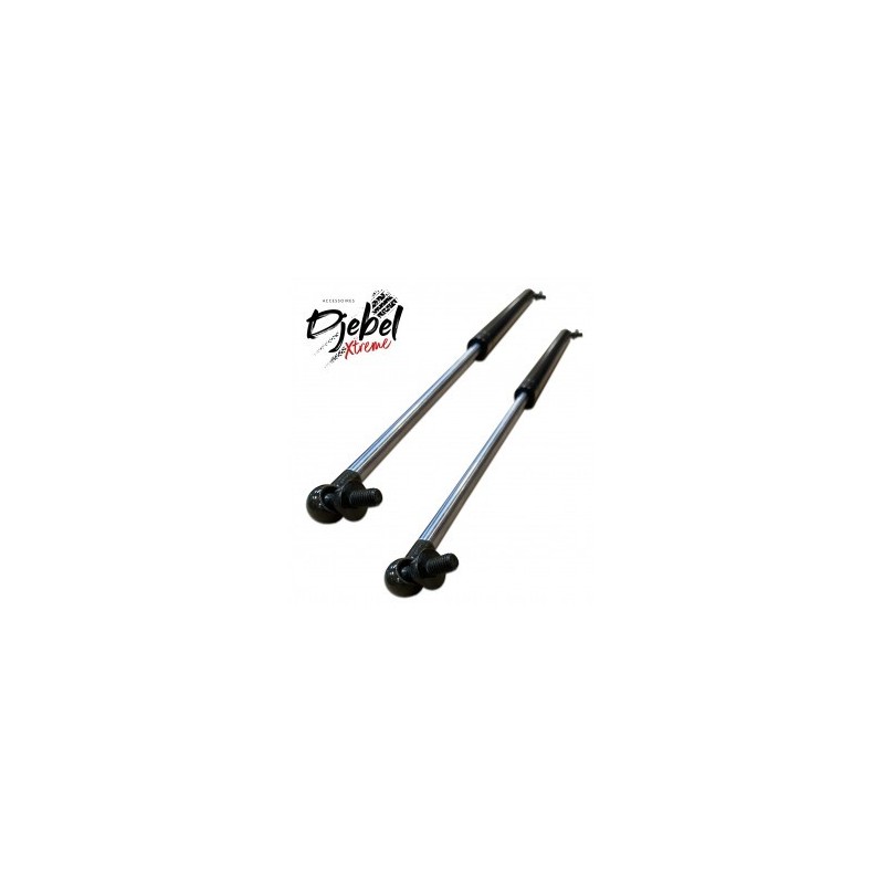 KIT ASSISTANCE VERINS CAPOT...