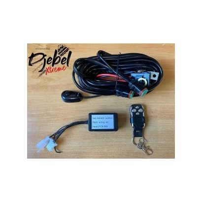 FAISCEAU AVEC RELAIS DOUBLE...