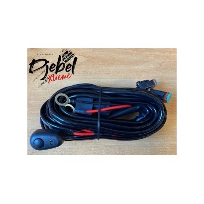 FAISCEAU AVEC RELAIS DOUBLE...